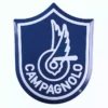 Campagnolo Tin Plate Shield