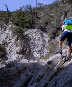 Swrve Transverse Regular Shorts 20 Swrve Transverse Regular Shorts