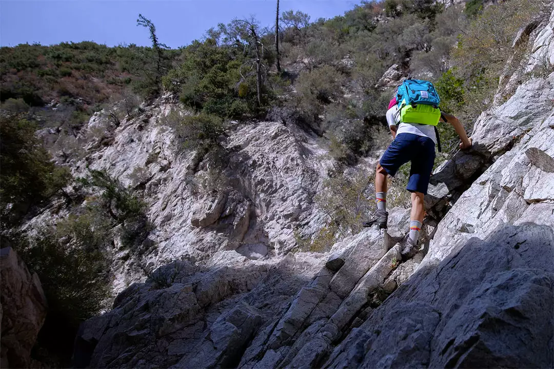 Swrve Transverse Regular Shorts 10 Swrve Transverse Regular Shorts